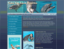 Tablet Screenshot of cabosanlucasdolphins.com
